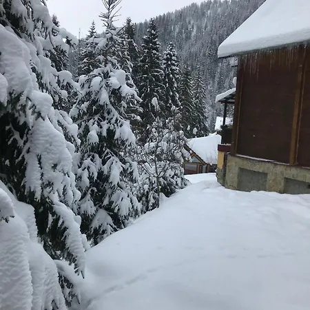 Vakantiehuis сім вітрів Volosyanka (Lviv)