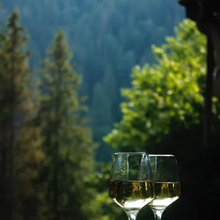 сім вітрів Vakantiehuis