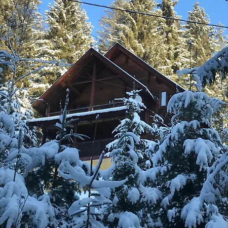 сім вітрів * Volosyanka (Lviv)