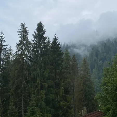 сім вітрів Vakantiehuis Volosyanka (Lviv)